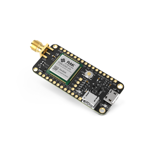 RAKWireless RAK3244 – Module IoT Industriel