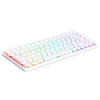 Raspberry Pi Officiel 500+ Unit Only - Premium Ordinateur de Bureau (US Layout)