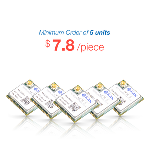 RAKWireless RAKW – lorawan
