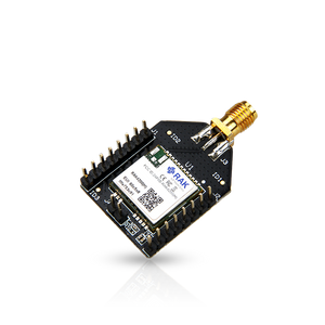 RAKWireless RAKW – lorawan