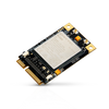 RAKWireless BG96-RAK8213 – Module IoT Industriel