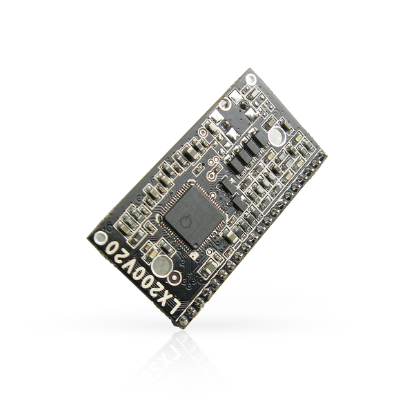 RAKWireless LX200V20-POWER-LINE – Module LoRaWAN pour Développement