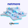 LoRaWAN Network Server & Platform-as-a-Service – Netmore